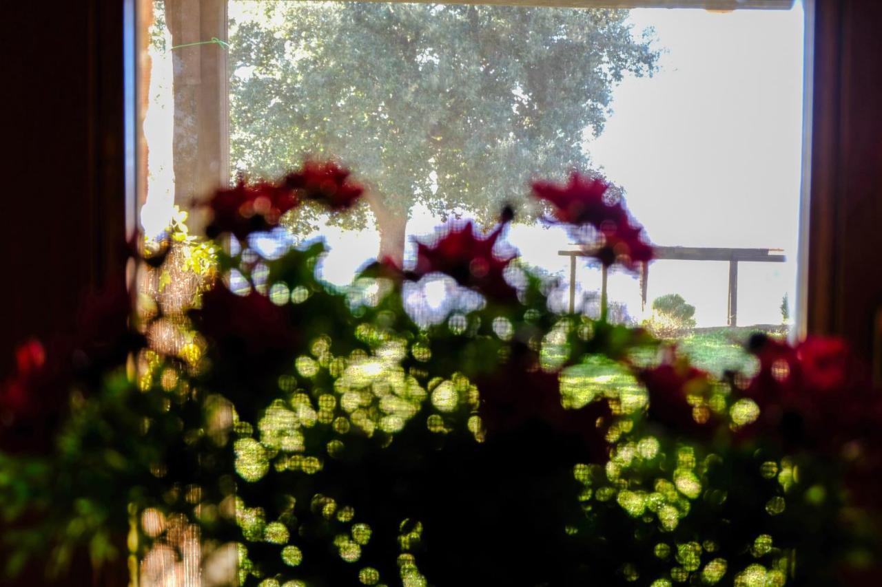 Agriturismo Poggio Monte Saturnia Dış mekan fotoğraf